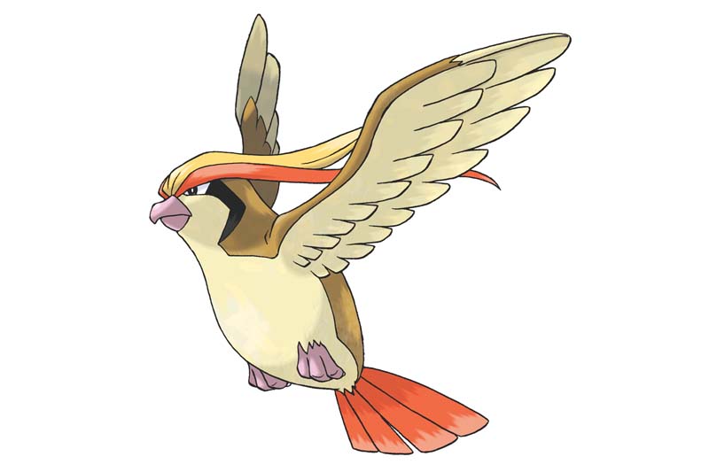 pidgeot Mejor Pokémon tipo volador: PIDGEOT
